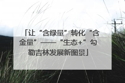 让“含绿量”转化“含金量”——“生态+”勾勒吉林发展新图景