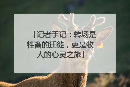 记者手记：转场是牲畜的迁徙，更是牧人的心灵之旅