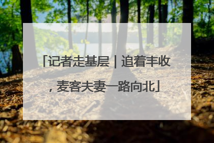 记者走基层｜追着丰收，麦客夫妻一路向北
