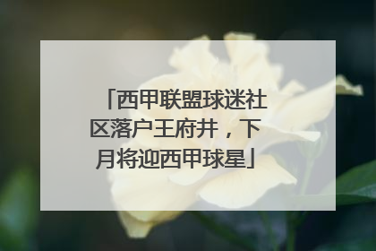 西甲联盟球迷社区落户王府井，下月将迎西甲球星