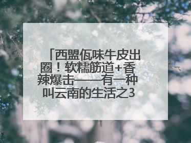 西盟佤味牛皮出圈！软糯筋道+香辣爆击——有一种叫云南的生活之365天