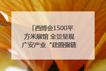 西博会1500平方米展馆 全景呈现广安产业“建圈强链”｜西博视界