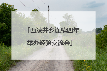 西凌井乡连续四年举办经验交流会