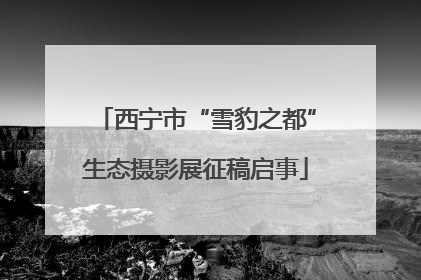 西宁市“雪豹之都”生态摄影展征稿启事