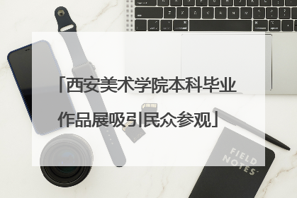 西安美术学院本科毕业作品展吸引民众参观