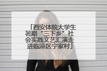 西安体院大学生暑期“三下乡”社会实践文艺汇演走进临潼区宁家村