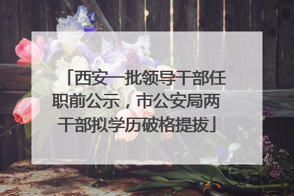 西安一批领导干部任职前公示，市公安局两干部拟学历破格提拔