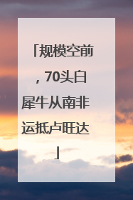规模空前，70头白犀牛从南非运抵卢旺达