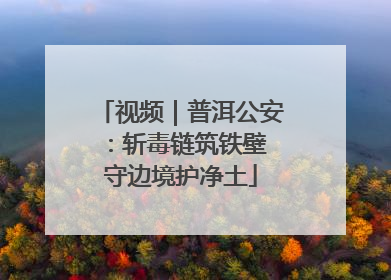 视频｜普洱公安：斩毒链筑铁壁 守边境护净土