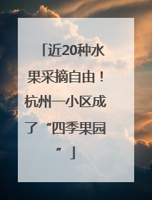 近20种水果采摘自由！杭州一小区成了“四季果园”
