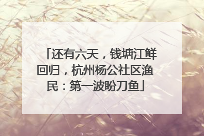 还有六天，钱塘江鲜回归，杭州杨公社区渔民：第一波盼刀鱼