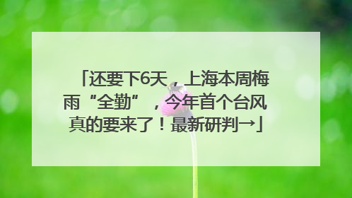 还要下6天，上海本周梅雨“全勤”，今年首个台风真的要来了！最新研判→