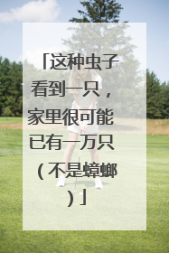 这种虫子看到一只，家里很可能已有一万只（不是蟑螂）