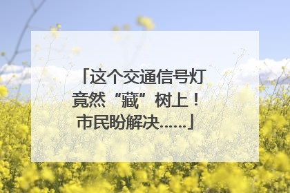 这个交通信号灯竟然“藏”树上！市民盼解决……