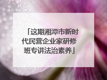 这期湘潭市新时代民营企业家研修班专讲法治素养