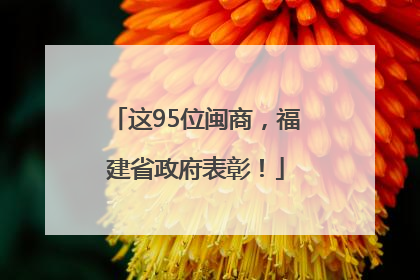 这95位闽商，福建省政府表彰！
