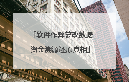 软件作弊篡改数据 资金溯源还原真相