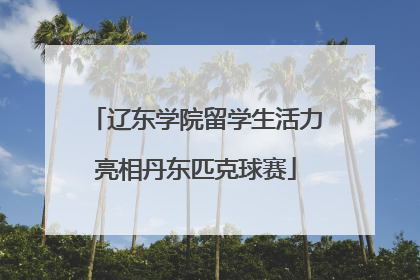 辽东学院留学生活力亮相丹东匹克球赛
