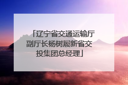 辽宁省交通运输厅副厅长杨树履新省交投集团总经理