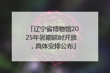 辽宁省博物馆2025年暑期延时开放，具体安排公布