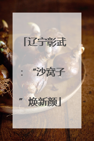 辽宁彰武：“沙窝子”焕新颜