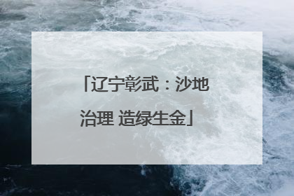 辽宁彰武：沙地治理 造绿生金