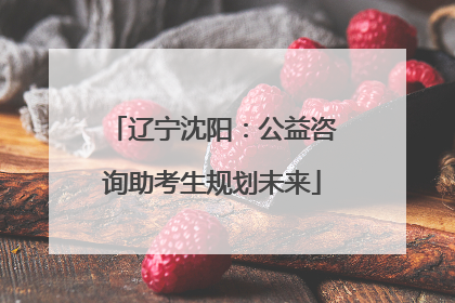 辽宁沈阳：公益咨询助考生规划未来