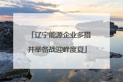 辽宁能源企业多措并举备战迎峰度夏