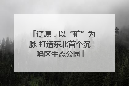 辽源：以“矿”为脉 打造东北首个沉陷区生态公园