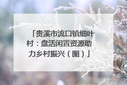 贵溪市流口镇细叶村：盘活闲置资源助力乡村振兴（图）