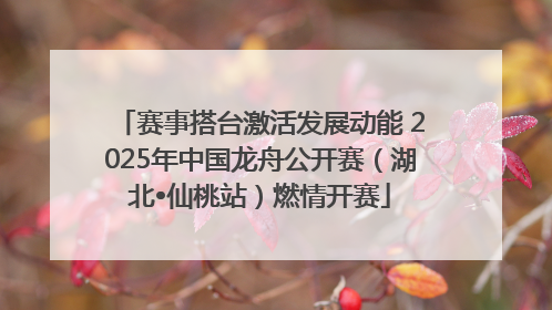 赛事搭台激活发展动能 2025年中国龙舟公开赛（湖北•仙桃站）燃情开赛