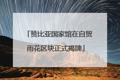 赞比亚国家馆在自贸雨花区块正式揭牌