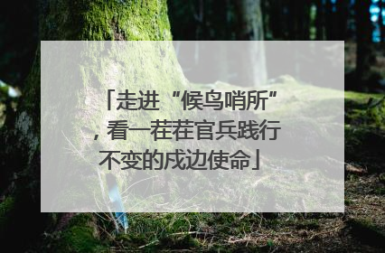 走进“候鸟哨所”，看一茬茬官兵践行不变的戍边使命