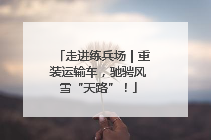 走进练兵场｜重装运输车，驰骋风雪“天路”！