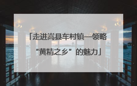 走进嵩县车村镇—领略“黄精之乡”的魅力