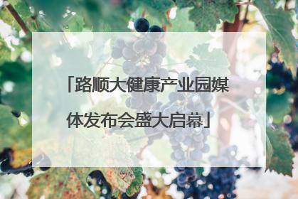 路顺大健康产业园媒体发布会盛大启幕