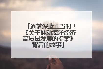 逐梦深蓝正当时！《关于推动海洋经济高质量发展的提案》背后的故事