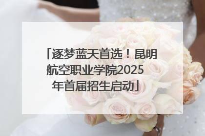 逐梦蓝天首选！昆明航空职业学院2025年首届招生启动