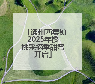 通州西集镇2025年樱桃采摘季甜蜜开启