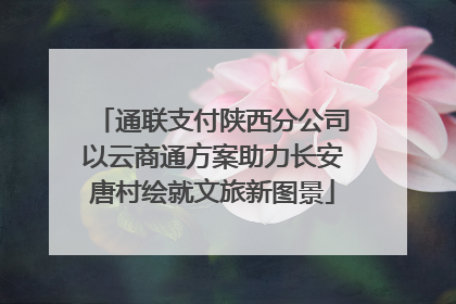 通联支付陕西分公司以云商通方案助力长安唐村绘就文旅新图景