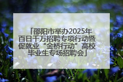 邵阳市举办2025年百日千万招聘专项行动暨促就业“金桥行动”高校毕业生专场招聘会