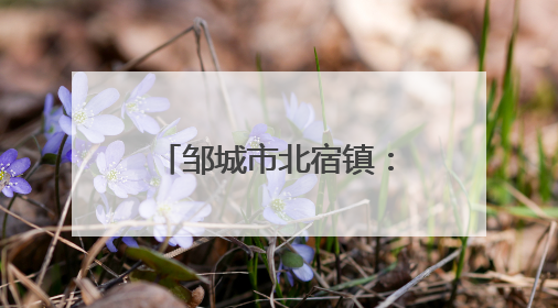 邹城市北宿镇：党建引领解锁村民“幸福密码”