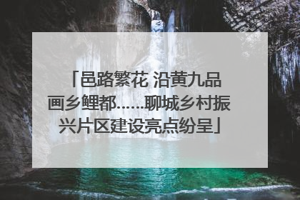 邑路繁花 沿黄九品 画乡鲤都……聊城乡村振兴片区建设亮点纷呈