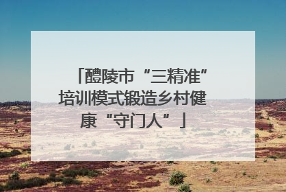 醴陵市“三精准”培训模式锻造乡村健康“守门人”