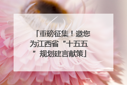 重磅征集！邀您为江西省“十五五”规划建言献策
