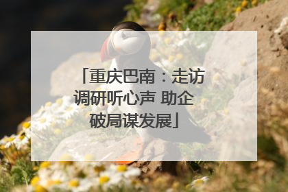 重庆巴南：走访调研听心声 助企破局谋发展