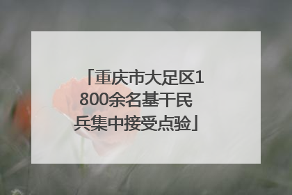重庆市大足区1800余名基干民兵集中接受点验