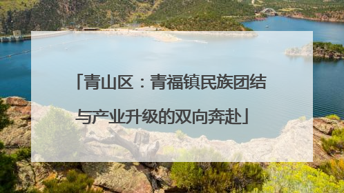 青山区：青福镇民族团结与产业升级的双向奔赴