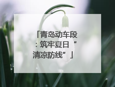 青岛动车段：筑牢夏日“清凉防线”