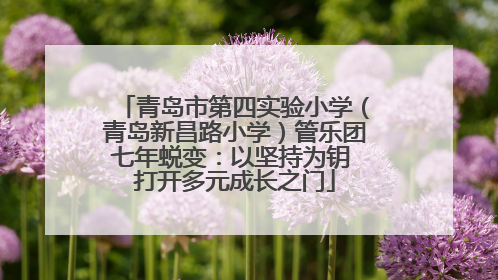 青岛市第四实验小学（青岛新昌路小学）管乐团七年蜕变：以坚持为钥 打开多元成长之门